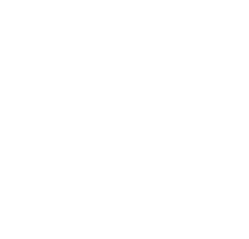 Joksović, Stojanović & Partners (JSP) logo